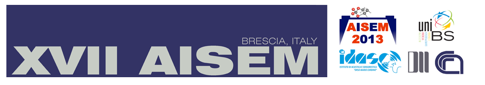 AISEM 13